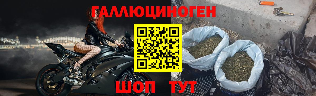 Туапсе  Галлюциногенные грибы MAGIC MUSHROOMS  Вход с VPN 